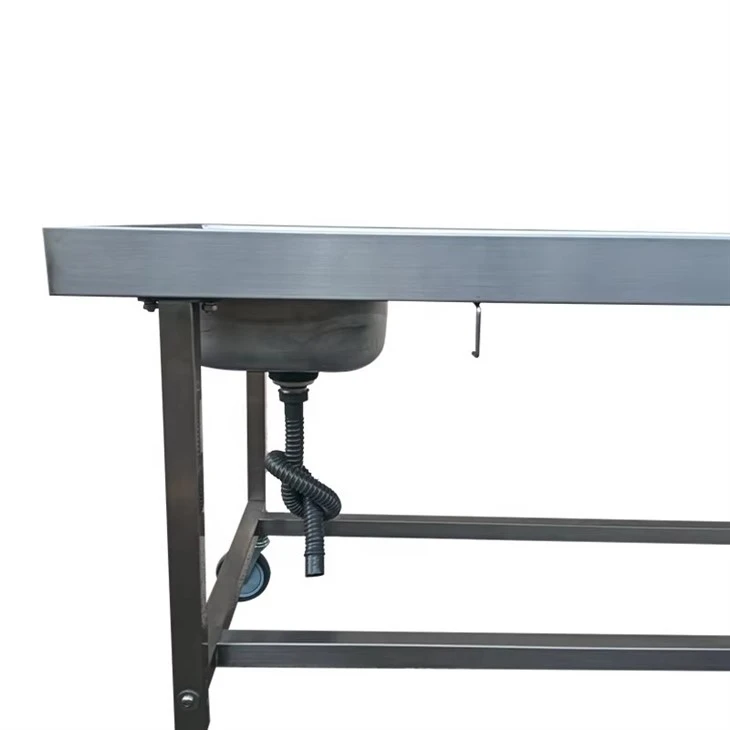 Body Autopsy Dissection Table